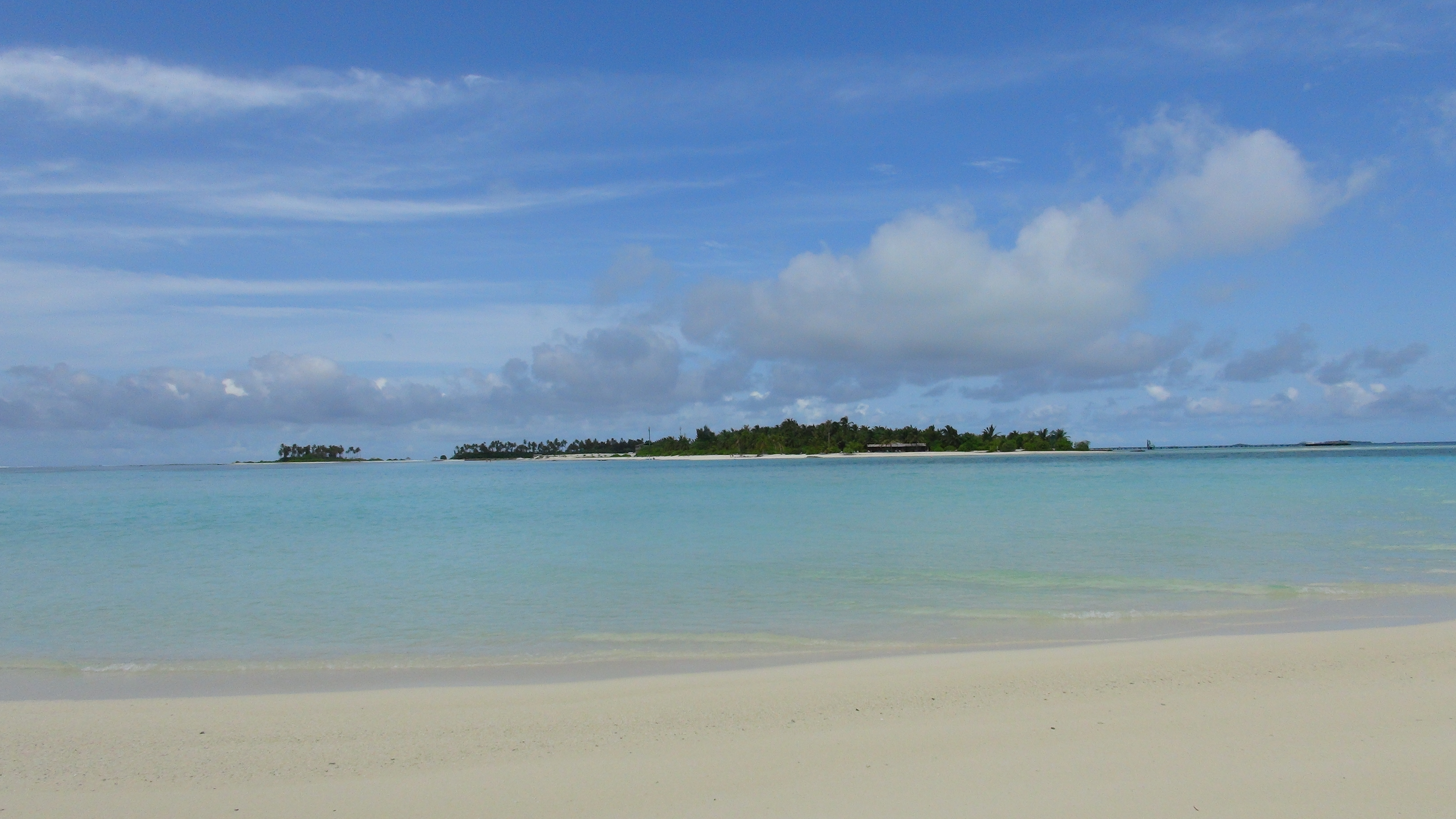 DSC00619